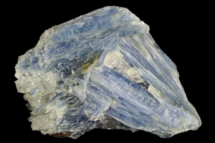 Vibrant Blue Kyanite Crystals In Quartz - Brazil #118860